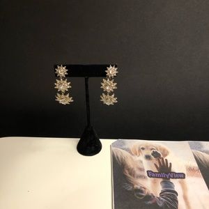 Earrings Women Jewelry